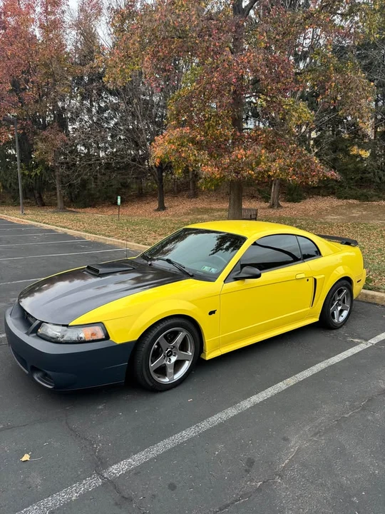 2002 Ford SN95 Mustang - Image 2 of 8