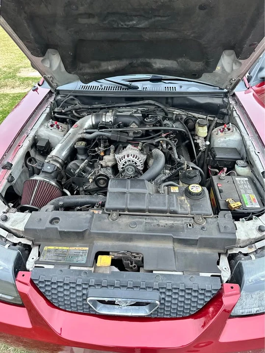 2002 Ford SN95 Mustang - Image 8 of 9