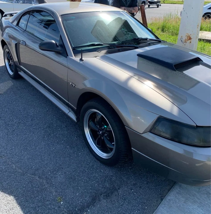 2002 Ford SN95 Mustang - Image 4 of 14