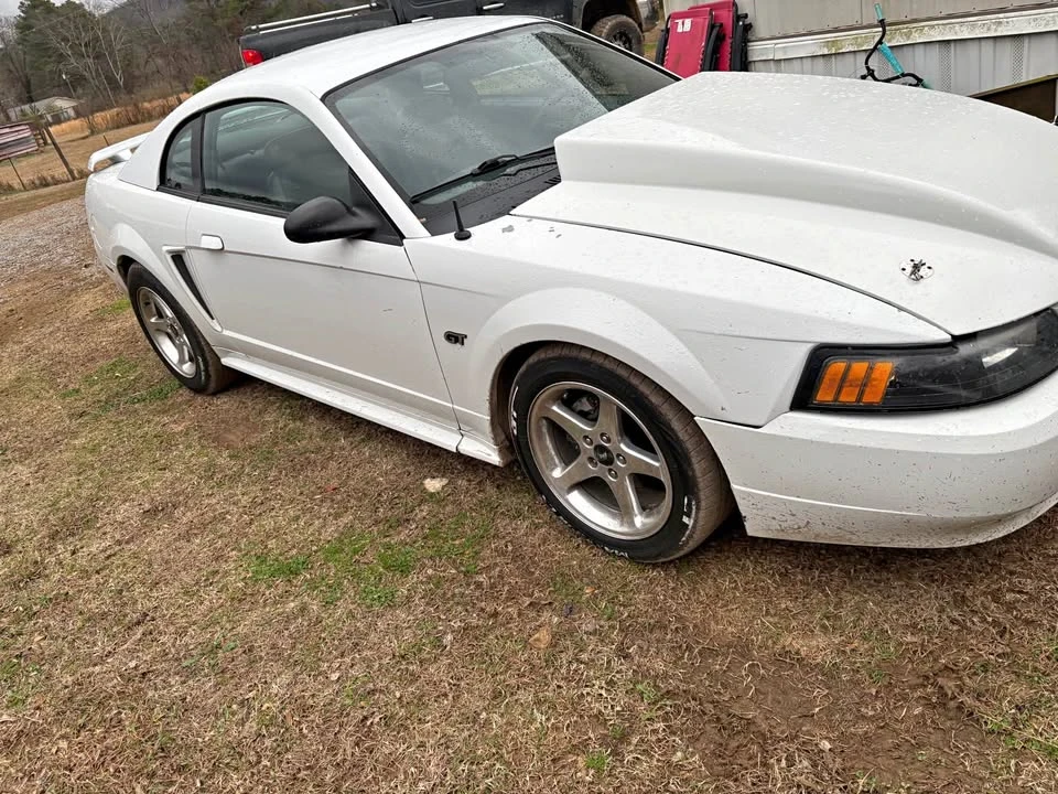 2002 Ford SN95 Mustang - Image 2 of 5