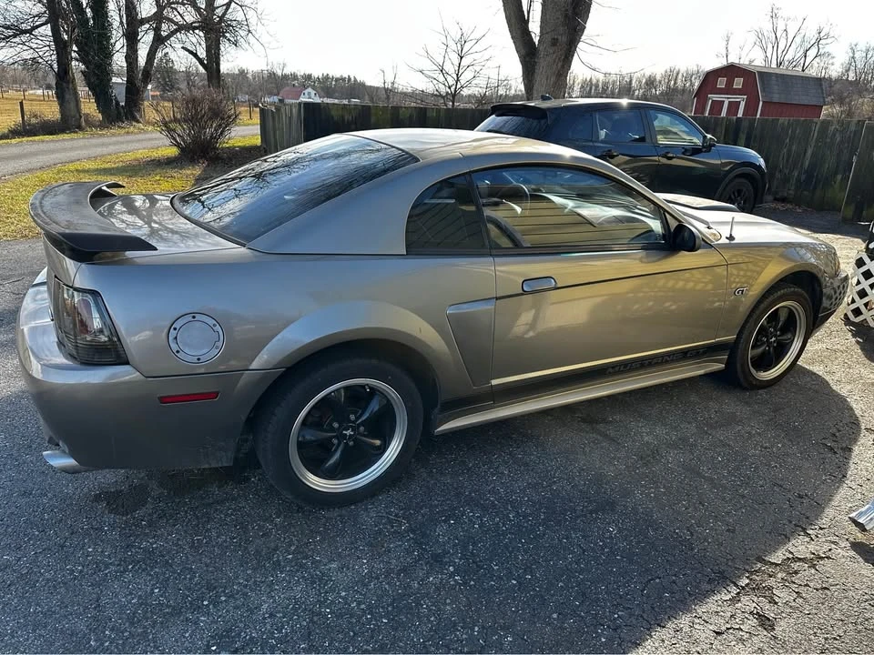 2002 Ford SN95 Mustang - Image 14 of 14