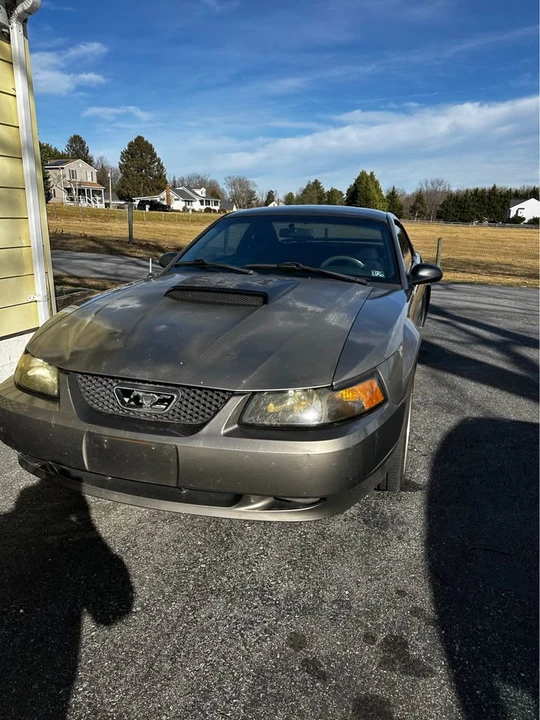 2002 Ford SN95 Mustang - Image 5 of 14