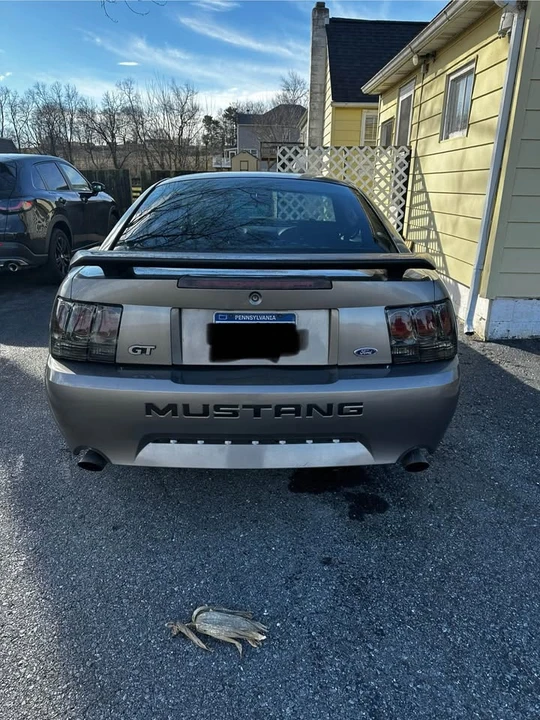 2002 Ford SN95 Mustang - Image 7 of 14