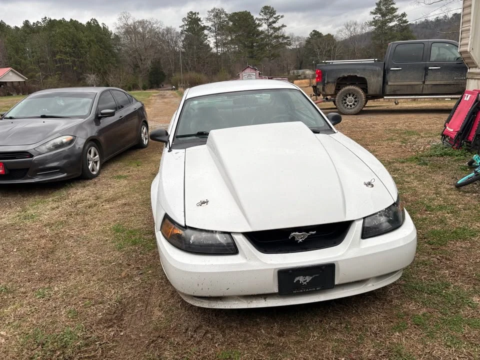 2002 Ford SN95 Mustang - Image 3 of 5