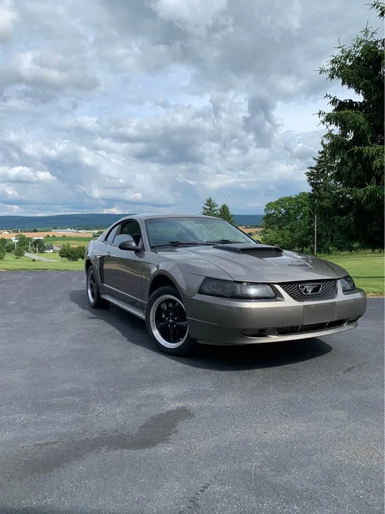2002 Ford SN95 Mustang - Image 2 of 14