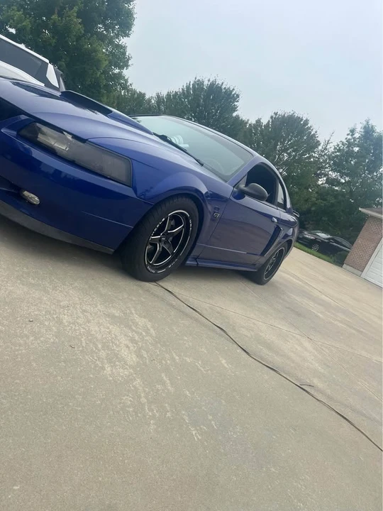 2002 Ford SN95 Mustang - Image 3 of 11