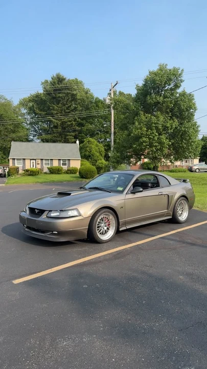 2002 Ford SN95 Mustang - Image 7 of 11