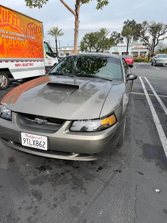 2002 Ford SN95 Mustang - Image 2 of 6