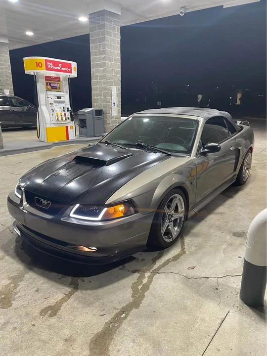 2002 Ford SN95 Mustang - Image 5 of 10