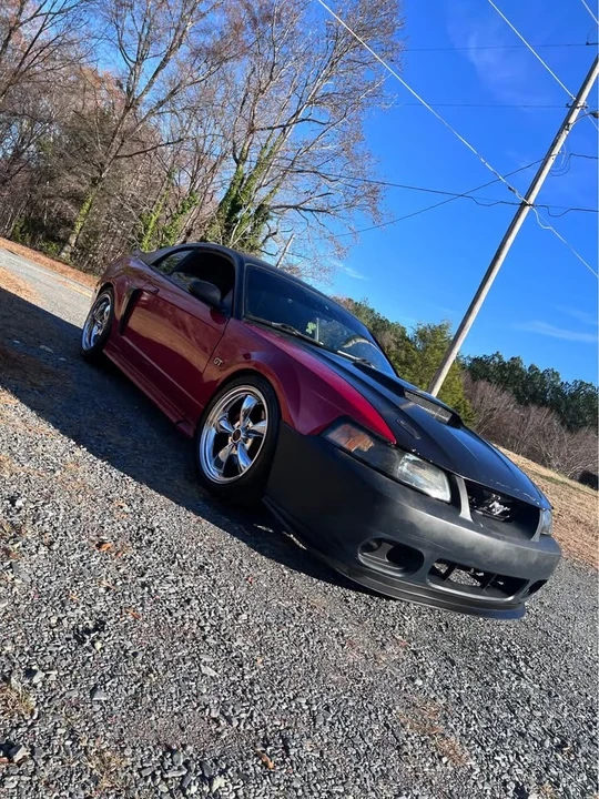 2002 Ford SN95 Mustang - Image 6 of 11