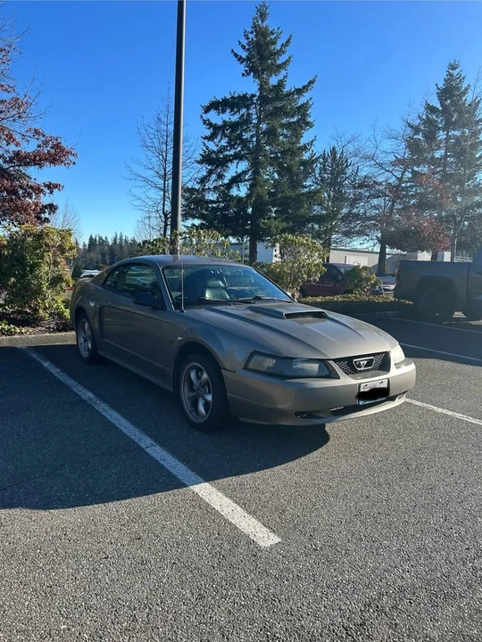 2002 Ford SN95 Mustang - Image 2 of 2