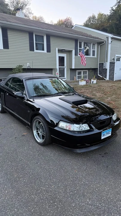 2002 Ford SN95 Mustang - Image 4 of 6
