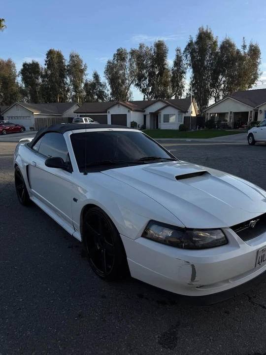 2002 Ford SN95 Mustang - Image 2 of 6