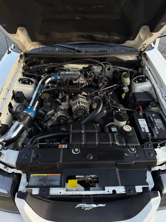 2002 Ford SN95 Mustang - Image 5 of 6