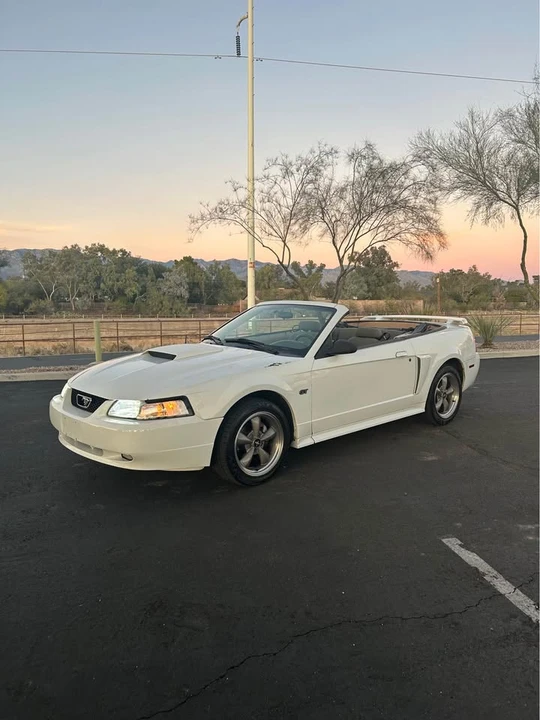 2002 Ford SN95 Mustang - Image 7 of 16