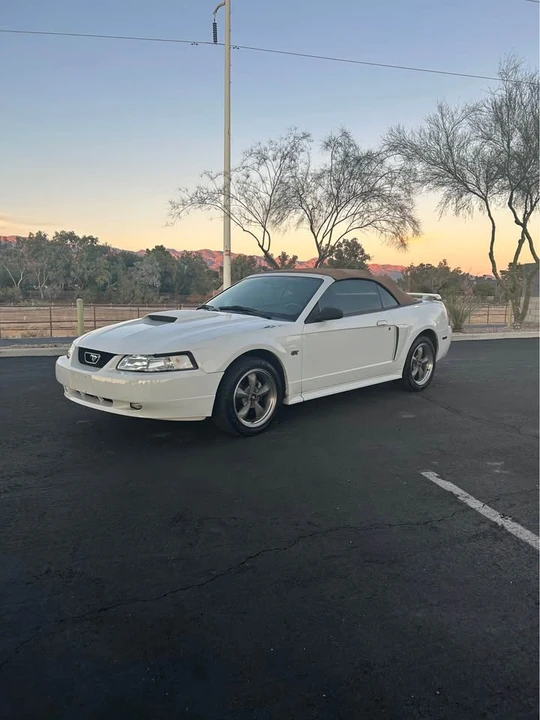 2002 Ford SN95 Mustang - Image 3 of 16