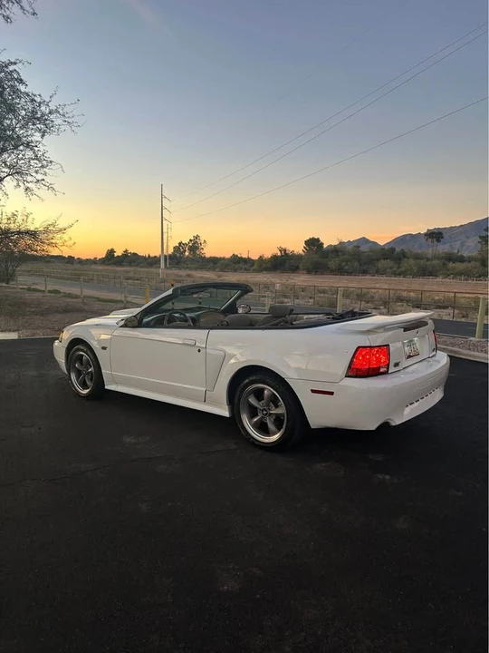 2002 Ford SN95 Mustang - Image 8 of 16