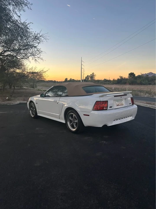 2002 Ford SN95 Mustang - Image 6 of 16