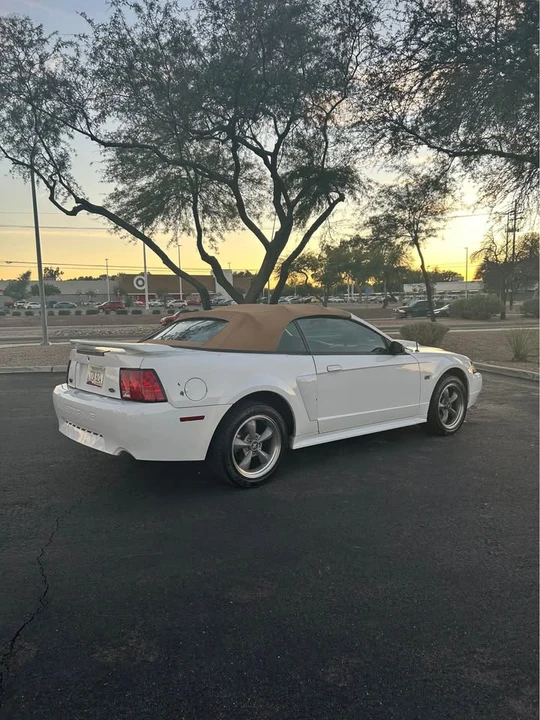 2002 Ford SN95 Mustang - Image 4 of 16