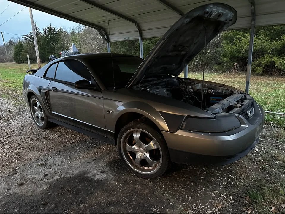 2002 Ford SN95 Mustang - Image 2 of 9