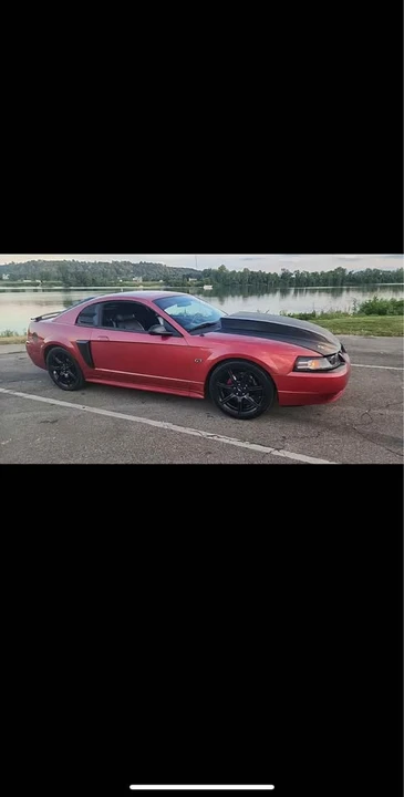 2002 Ford SN95 Mustang - Image 7 of 13
