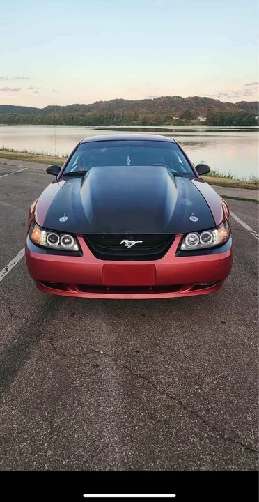 2002 Ford SN95 Mustang - Image 6 of 13