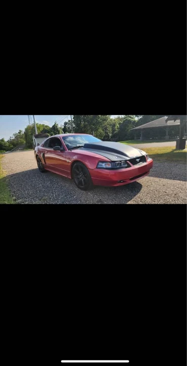 2002 Ford SN95 Mustang - Image 9 of 13