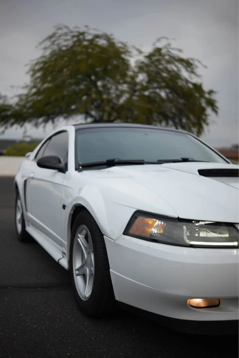 2002 Ford SN95 Mustang - Image 3 of 19