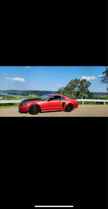 2002 Ford SN95 Mustang - Image 10 of 13