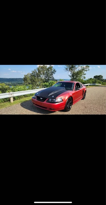 2002 Ford SN95 Mustang - Image 12 of 13