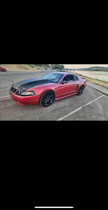 2002 Ford SN95 Mustang - Image 5 of 13