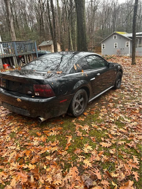 2002 Ford SN95 Mustang - Image 3 of 5