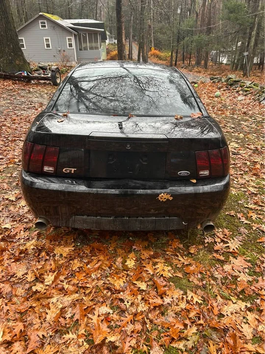 2002 Ford SN95 Mustang - Image 4 of 5
