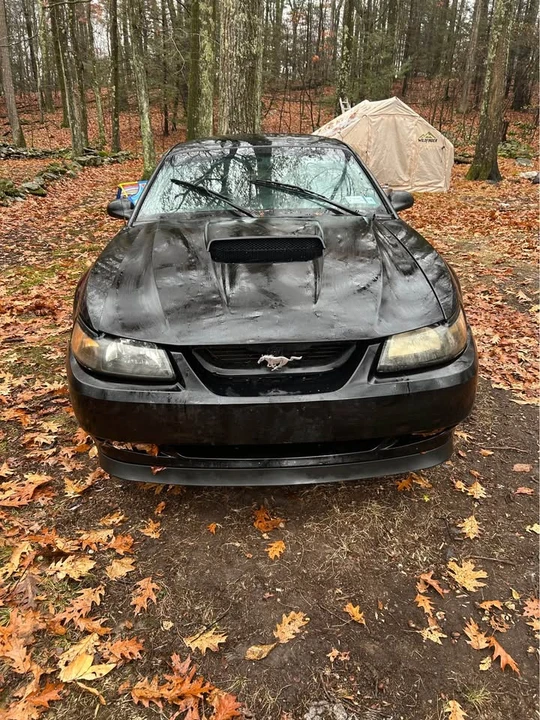 2002 Ford SN95 Mustang - Image 2 of 5