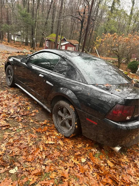 2002 Ford SN95 Mustang - Image 5 of 5