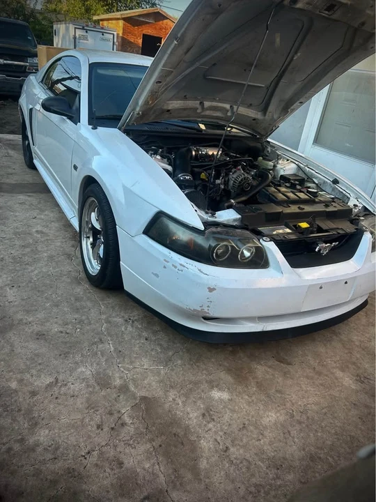 2002 Ford SN95 Mustang - Image 3 of 6