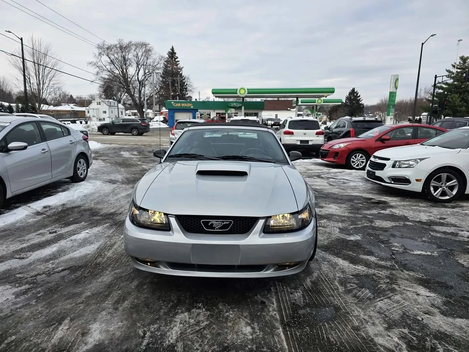 2002 Ford SN95 Mustang - Image 5 of 8