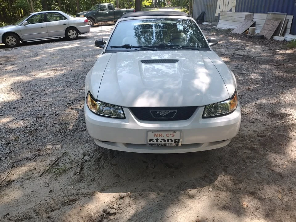 2002 Ford SN95 Mustang - Image 2 of 9