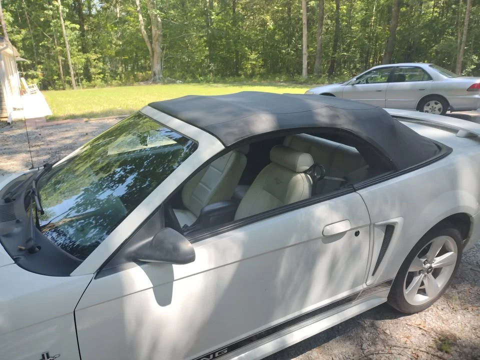 2002 Ford SN95 Mustang - Image 3 of 9