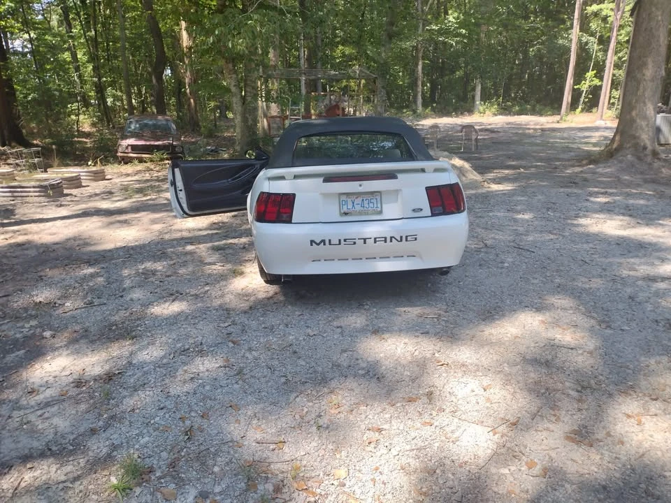 2002 Ford SN95 Mustang - Image 9 of 9