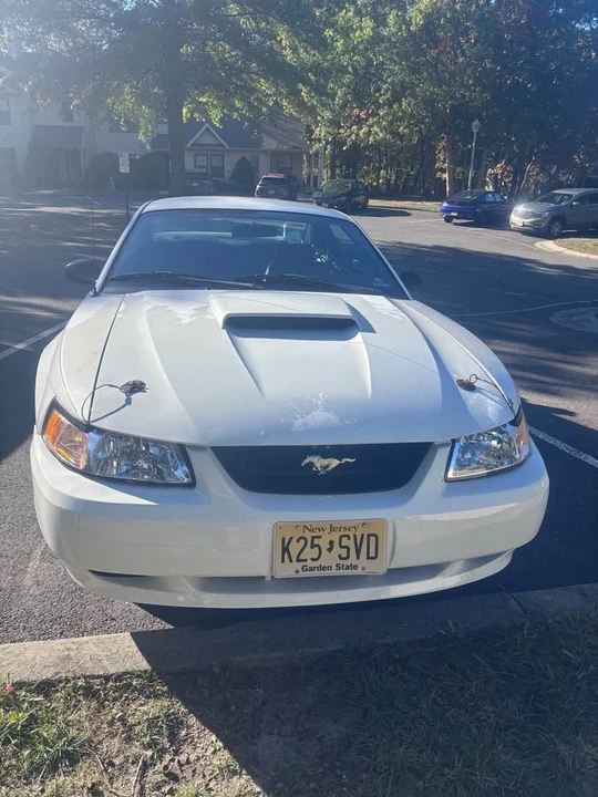 2002 Ford SN95 Mustang - Image 2 of 6