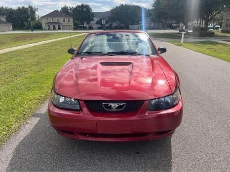 2002 Ford SN95 Mustang - Image 10 of 19