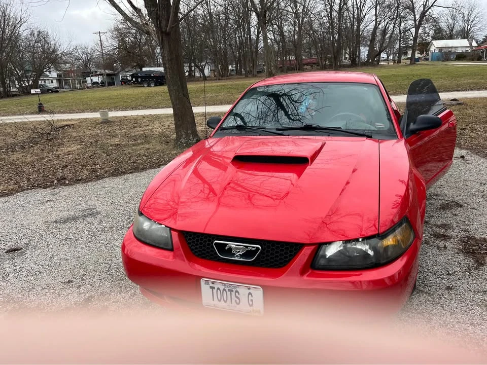 2002 Ford SN95 Mustang - Image 5 of 6
