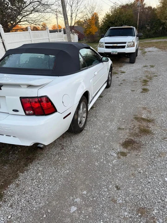 2002 Ford SN95 Mustang - Image 2 of 5