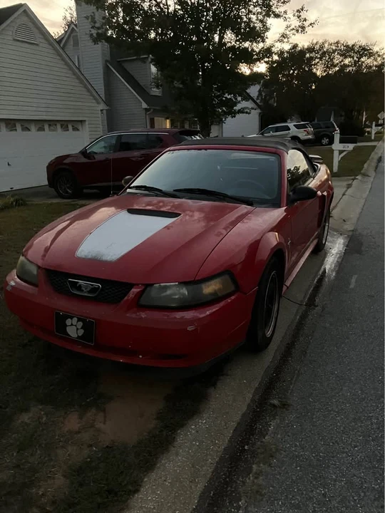 2002 Ford SN95 Mustang - Image 4 of 8