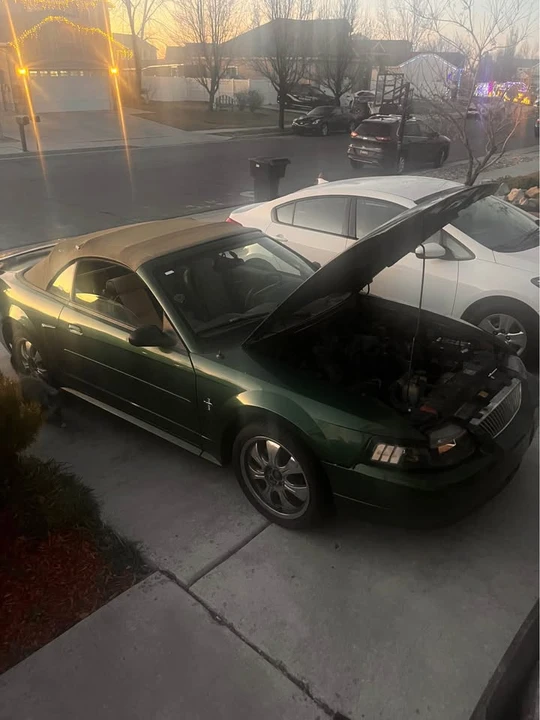 2002 Ford SN95 Mustang - Image 4 of 9