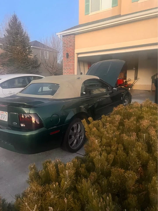 2002 Ford SN95 Mustang - Image 7 of 9