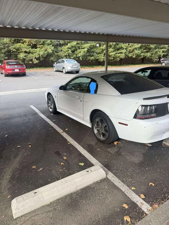 2002 Ford SN95 Mustang - Image 2 of 6