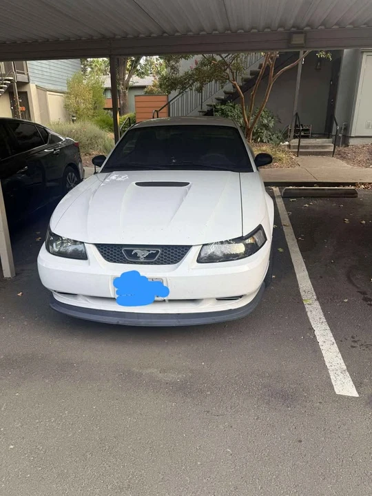 2002 Ford SN95 Mustang - Image 3 of 6