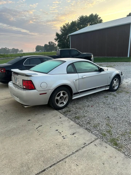 2002 Ford SN95 Mustang - Image 2 of 6